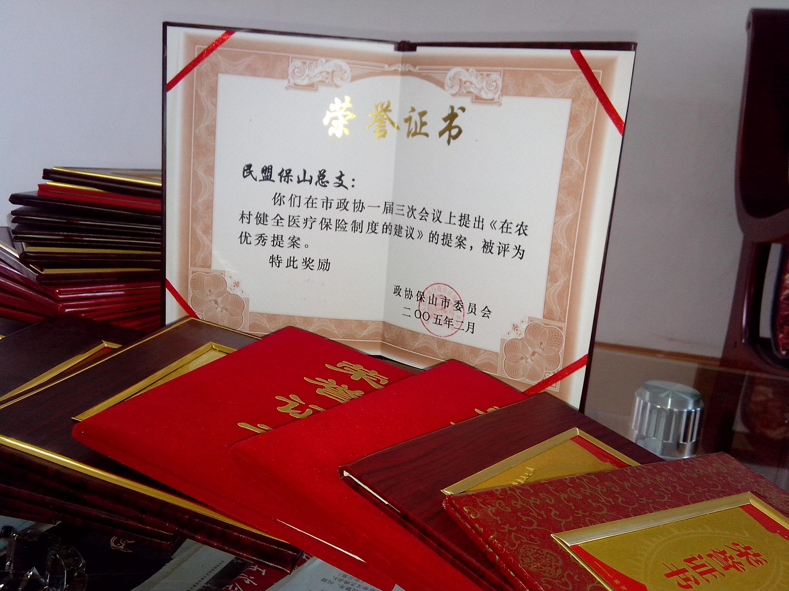 参政议政成效
